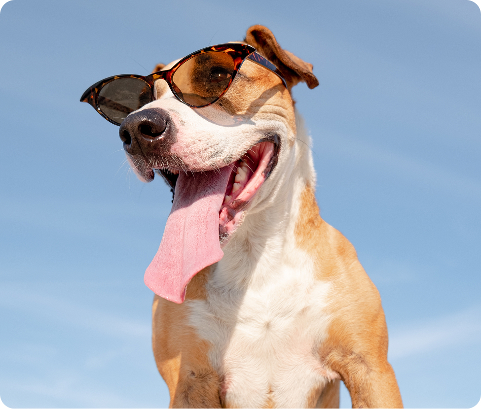 karma sucha i mokra 0H2A2465 Enhanced NR